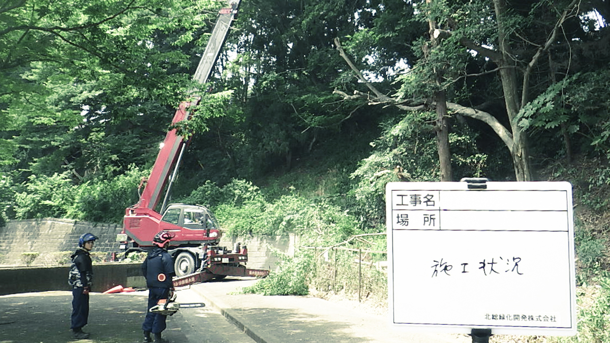 市内緑地の伐採工事を完了しました